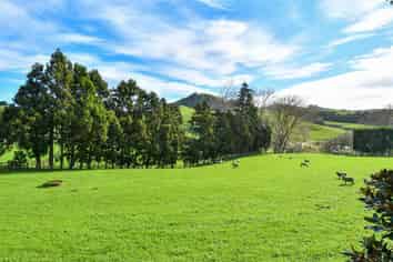 255 Goodwin Road, Aka Aka