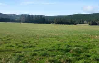 464 Back Road, Milton