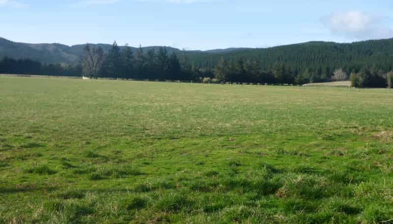 464 Back Road, Milton