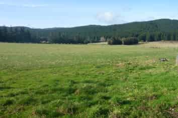 464 Back Road, Milton