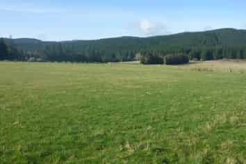 464 Back Road, Milton