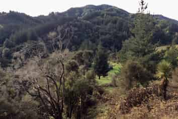 1007 Ongo Road, Hunterville