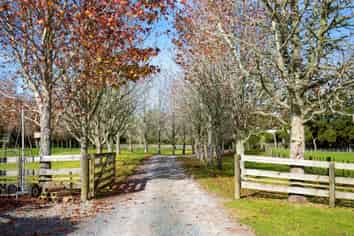 31 Ward Road, Matakana