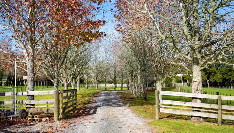 31 Ward Road, Matakana