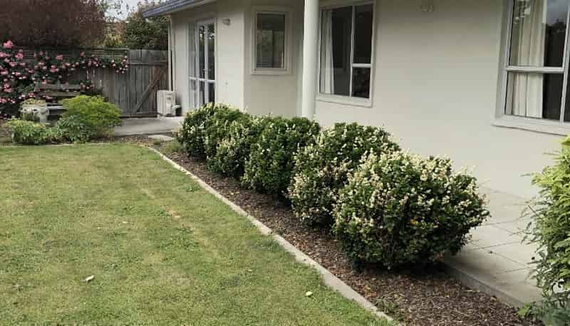 13 Page Street, Blenheim Central