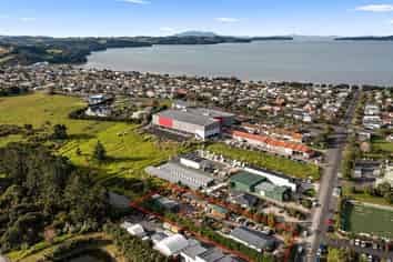 Light industry: invest, develop, or occupy