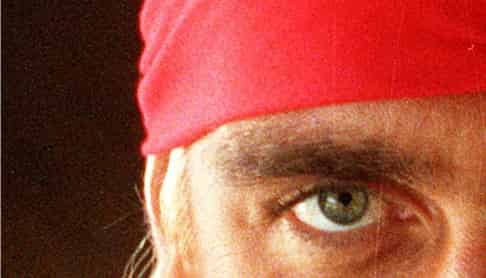  Vipond Road, Auckland Central