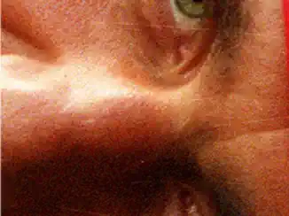  Vipond Road, Auckland Central