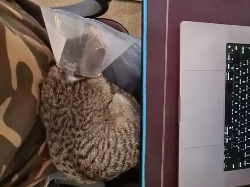 12 Alpine Ave, Marlborough Sounds