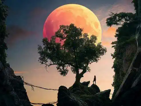 12 Alpine Ave, Marlborough Sounds