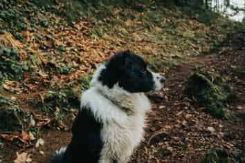 asdfdsa/1234 street name, Great Barrier Island