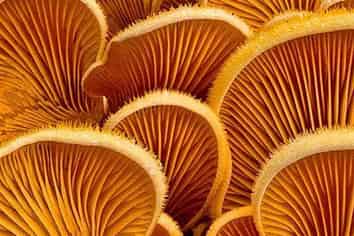 15 Queen street, Auckland Central