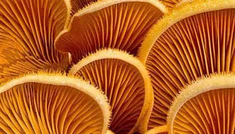 15 Queen street, Auckland Central