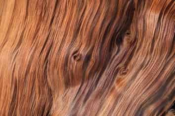 Auckland - Address withheld