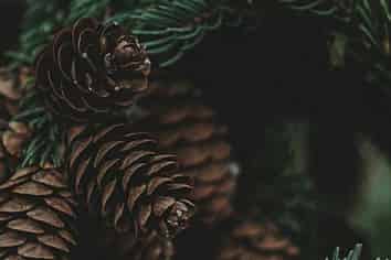 Auckland - Address withheld