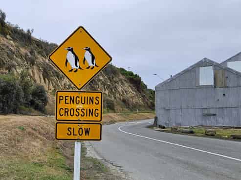 Auckland - Address withheld