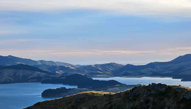 12 K Road, Auckland Central