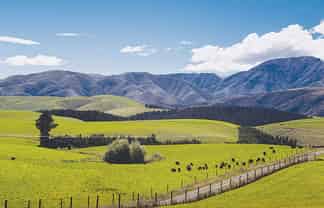 596 Foothills Road, Okuku