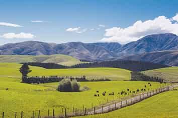 596 Foothills Road, Okuku