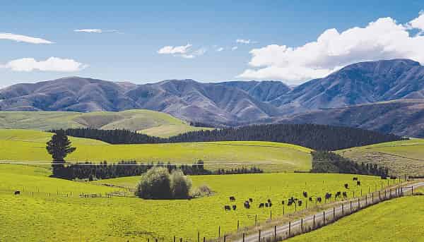 826 Selwyn Road, Springston