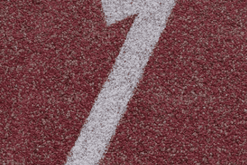 123 Test, Kawau Island