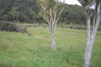 4390 Karamea Highway, Karamea