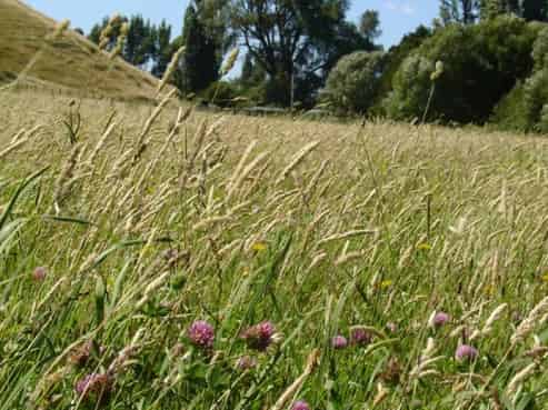 770 Puketitiri Road, Puketapu