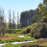 Teresa 0032800000qFF0wAAG Hall 0032800000qFF0wAAG